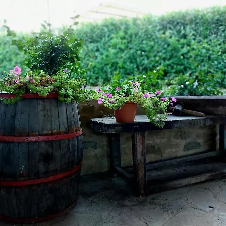 Il Ciottone Agroturismo *