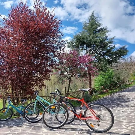 Il Ciottone * Ночера-Умбра