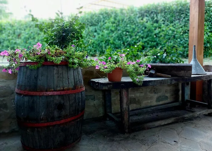 Il Ciottone Farm stay *