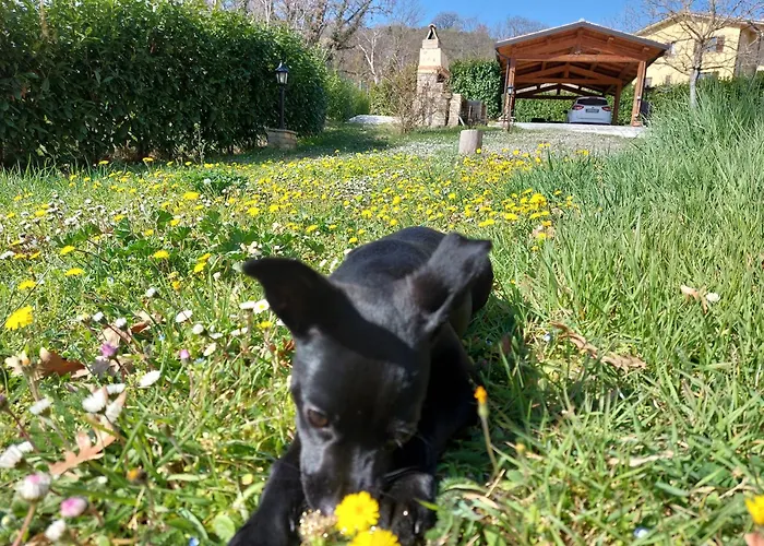 Фермерский дом Il Ciottone Ночера-Умбра